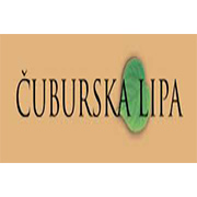 Čuburska lipa